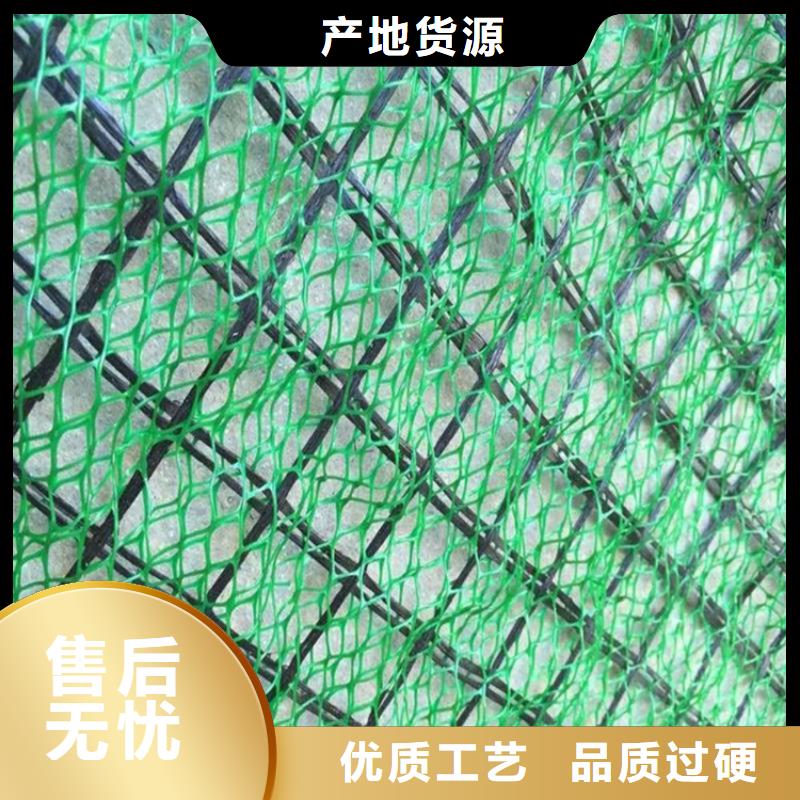 三维植被网复合土工膜一站式采购方便省心