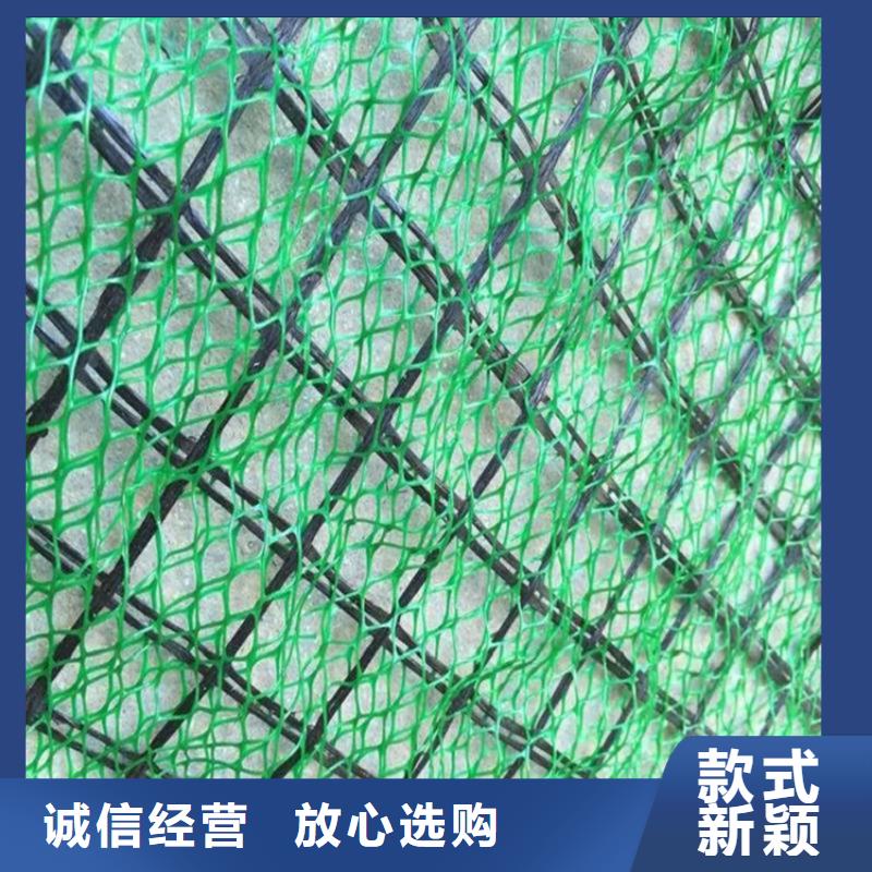 三维固土网垫EM4边坡