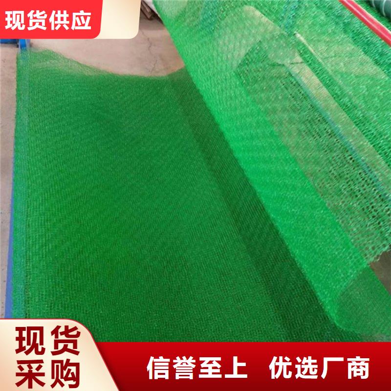 三维固土网垫EM4边坡