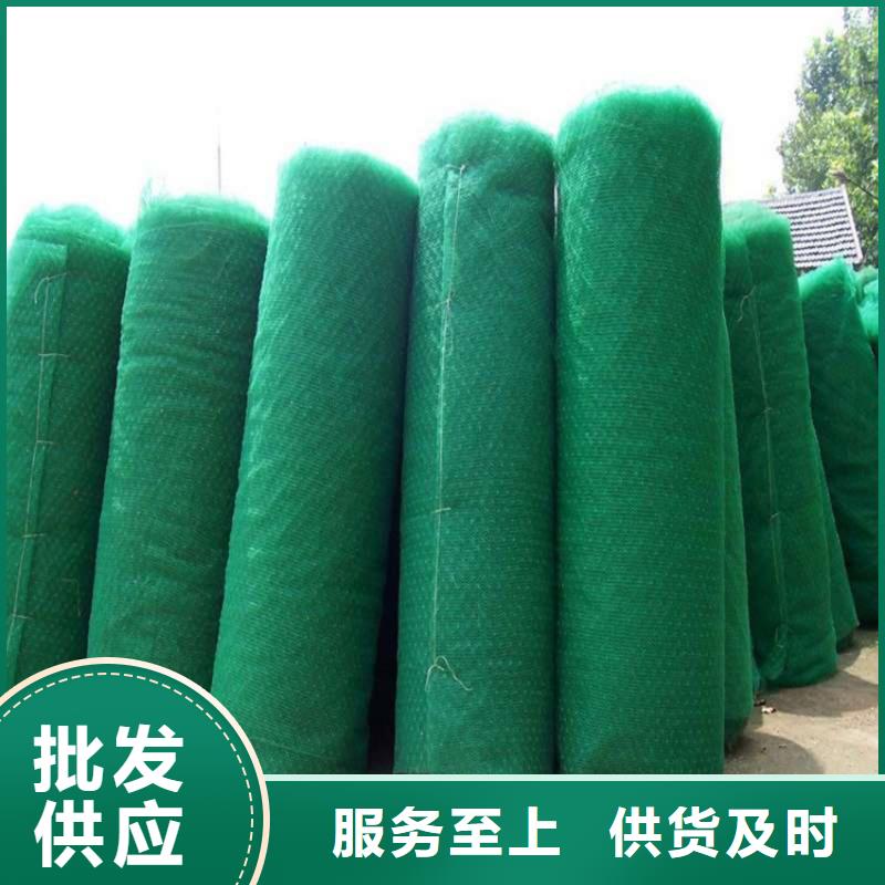 三维植被网有限公司欢迎您
