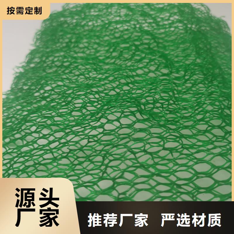 EM2环保三维植被网