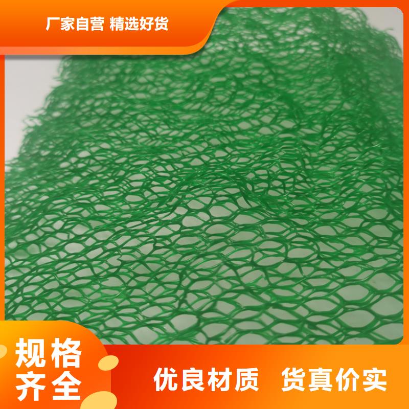 EM3三维土工网垫