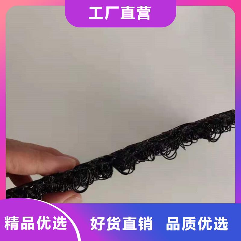 聚丙烯A20三维水土保护毯