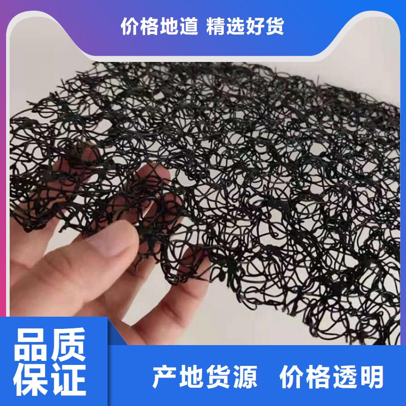 防渗膜鼎诺【水土保护毯】-通风降噪丝网好产品放心购