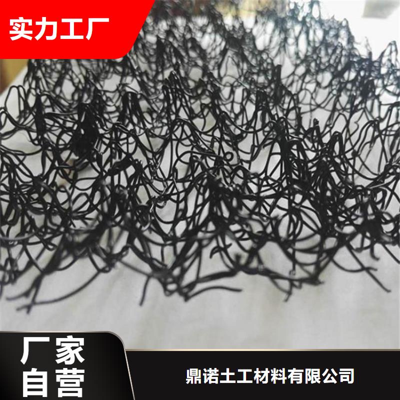 防渗膜鼎诺【水土保护毯】-通风降噪丝网好产品放心购