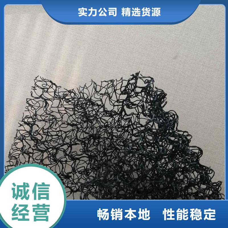 聚丙烯A20三维水土保护毯