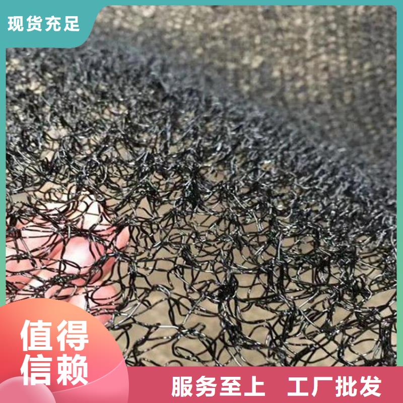 防渗膜鼎诺【水土保护毯】-通风降噪丝网好产品放心购