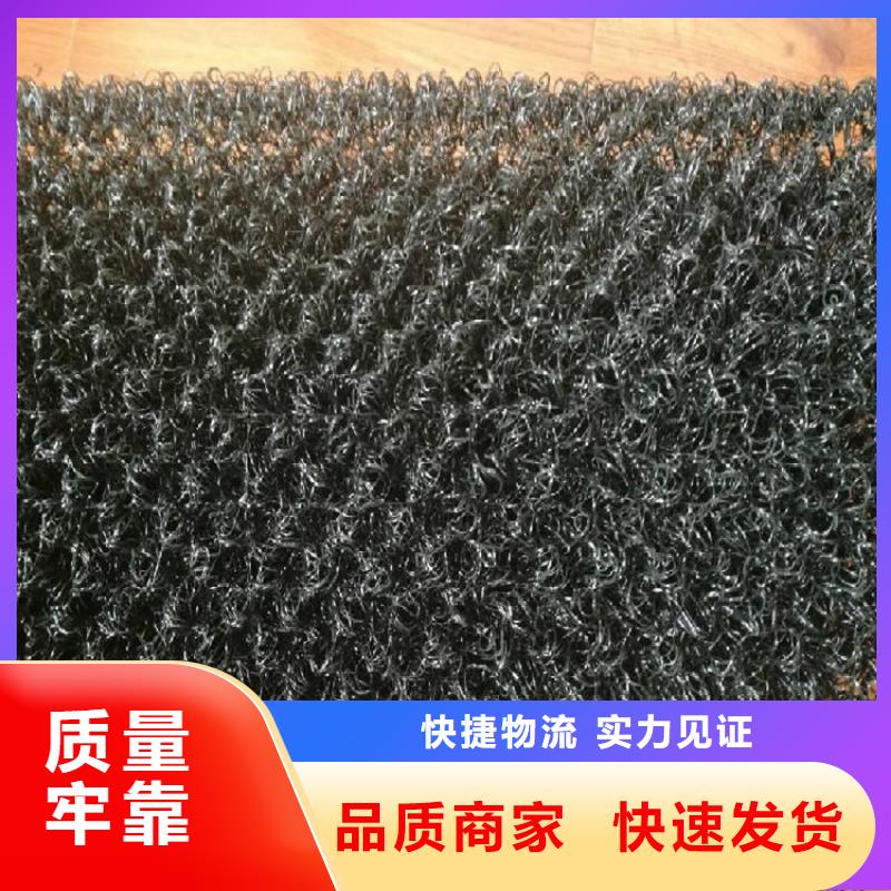 三维防侵蚀边坡绿化三维水土保护毯