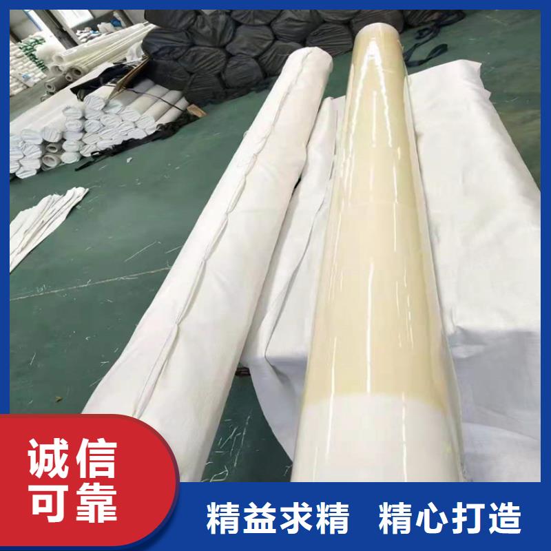 EVA自粘式防水板