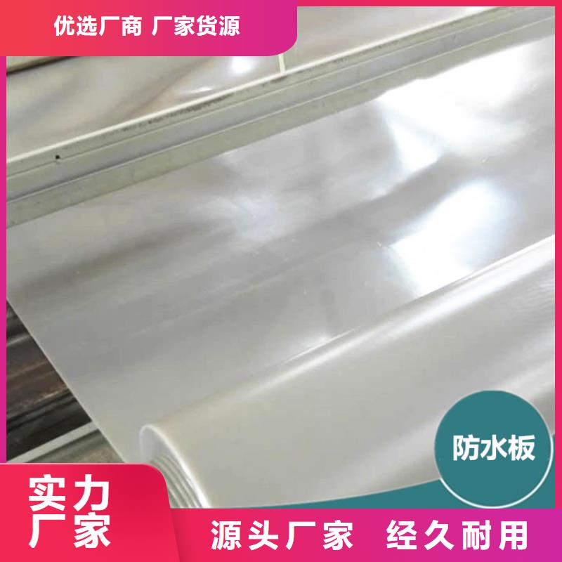 防水板【防水膜】现货