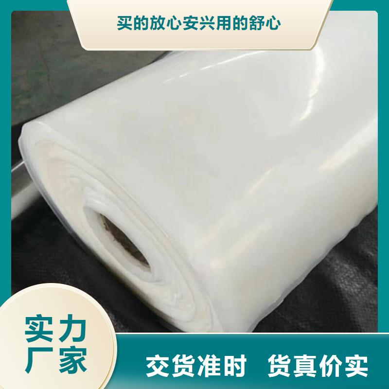防水板【防水膜】现货