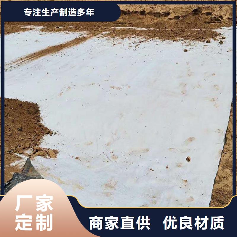 膨润土防水毯,【防草布】量大从优