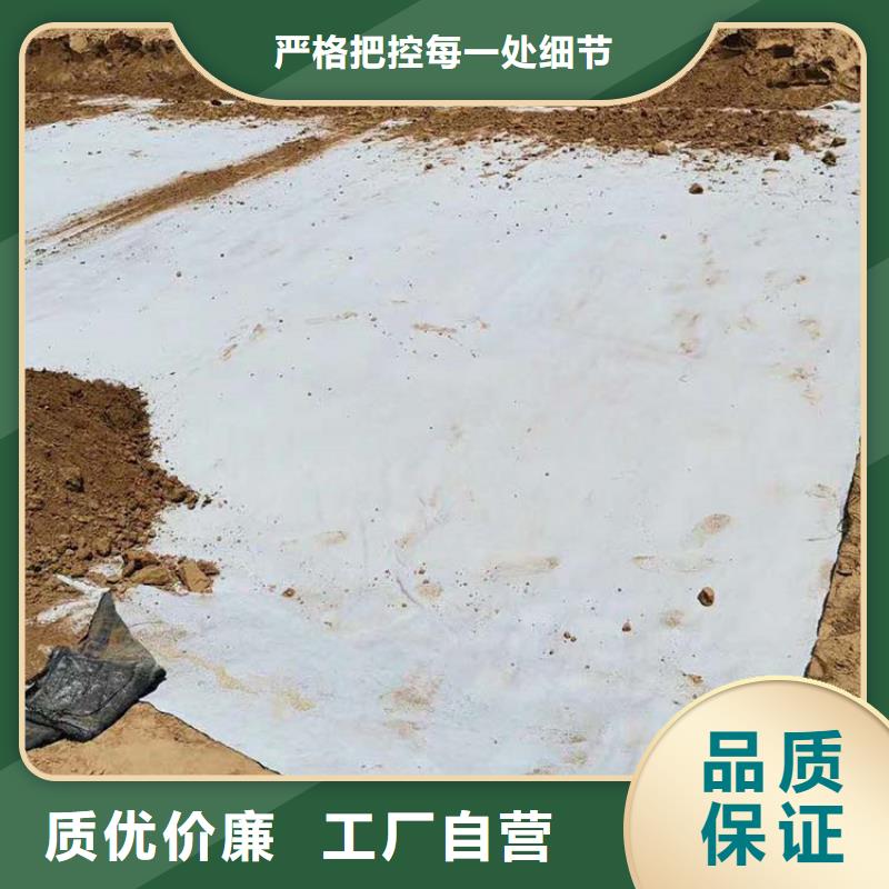 膨润土复合防水毯GCL厂家价格行情