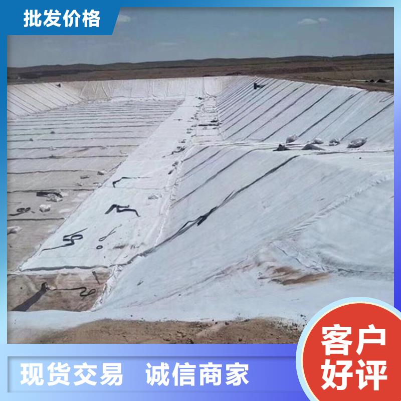 膨润土防水毯-保湿布用心做品质
