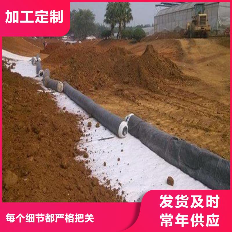 钠基膨润土防水毯批发销售