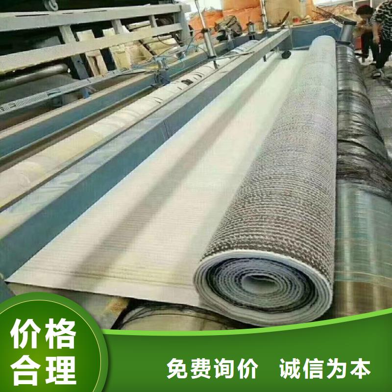 覆膜型膨润土防水毯哪里有卖的厂址