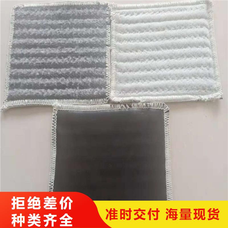 海南澄迈县小区景观湖膨润土防水毯