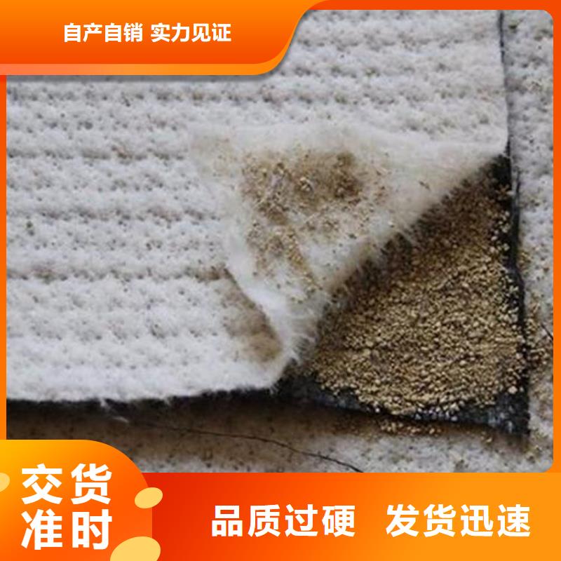 海南澄迈县小区景观湖膨润土防水毯