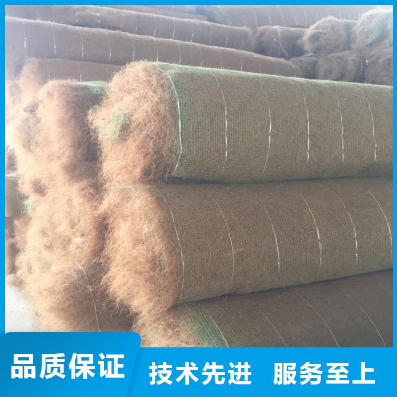 椰丝植生毯价格优惠