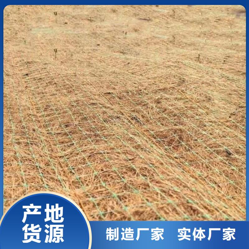 植草纤维毯伸长率大