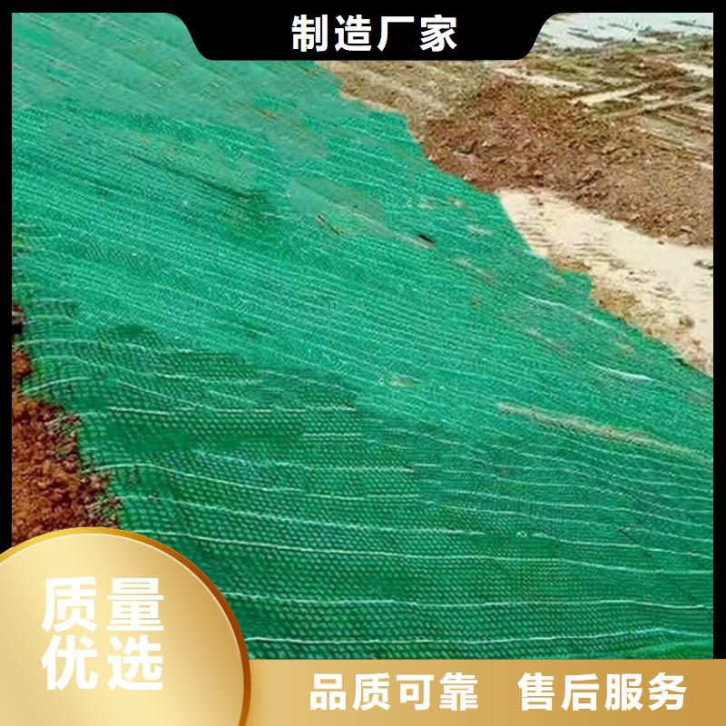 环保草毯加筋草籽毯