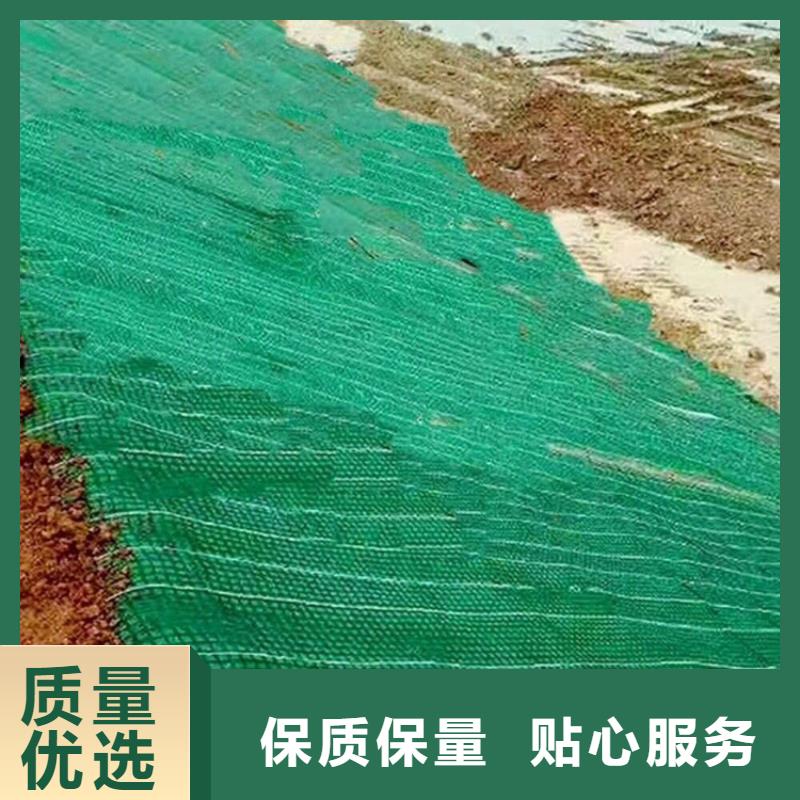 椰丝植生毯价格优惠