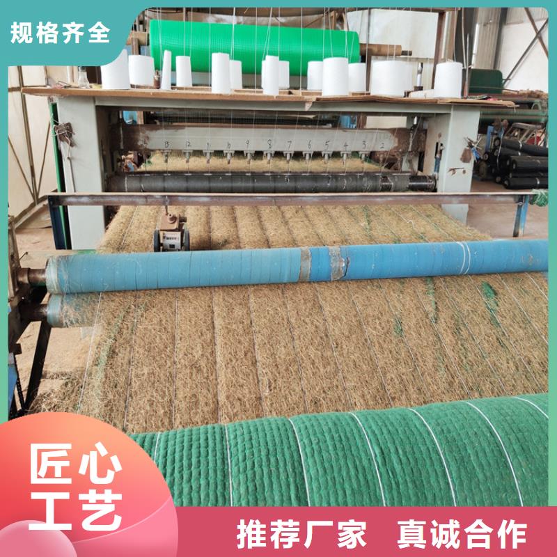 生态植物防护毯