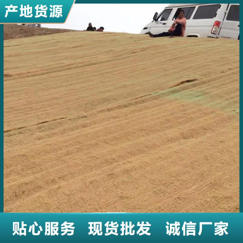 加筋抗冲生态毯