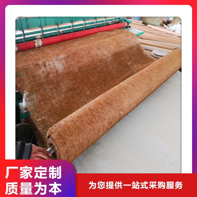 椰丝毯土工格栅免费询价