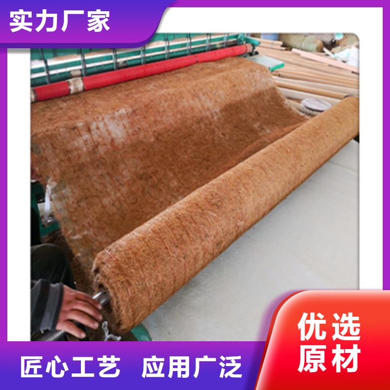 海南白沙县植物纤维毯生态草毯