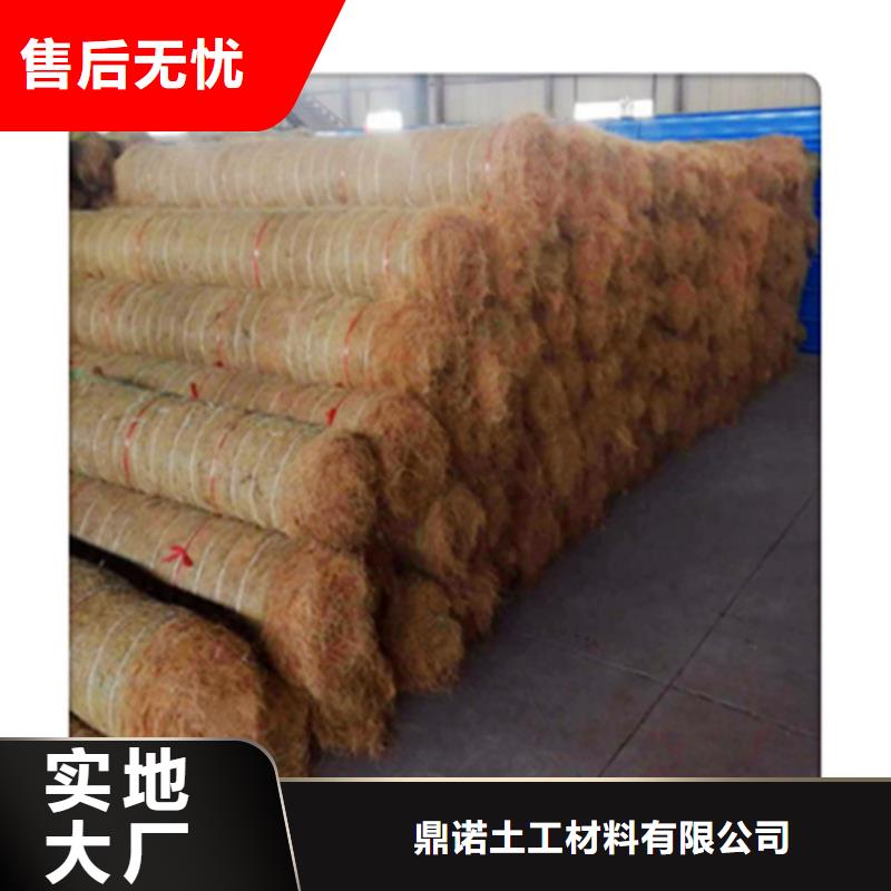 生态植物防护毯抗冲刷生态毯
