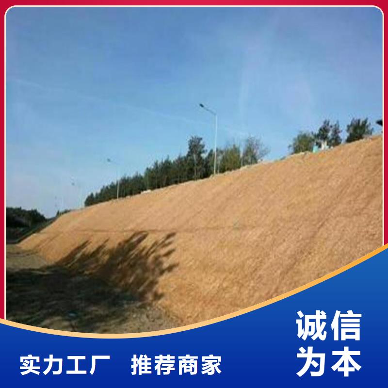 三沙市植物纤维毯