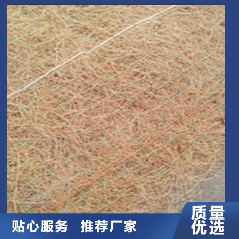 加筋复合植草毯经销厂家