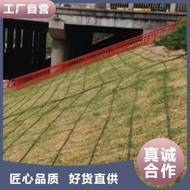 椰丝植生毯价格优惠