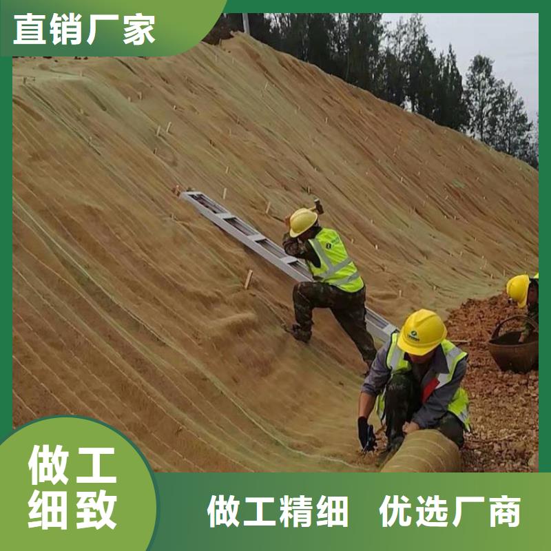 海南文昌市生态护坡毯厂家价格