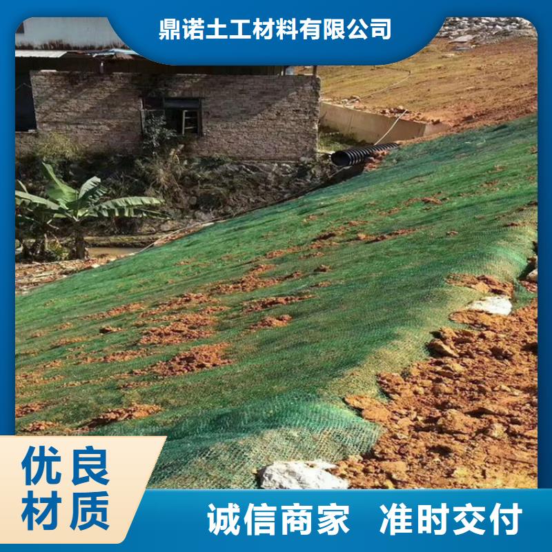 生态护坡草毯