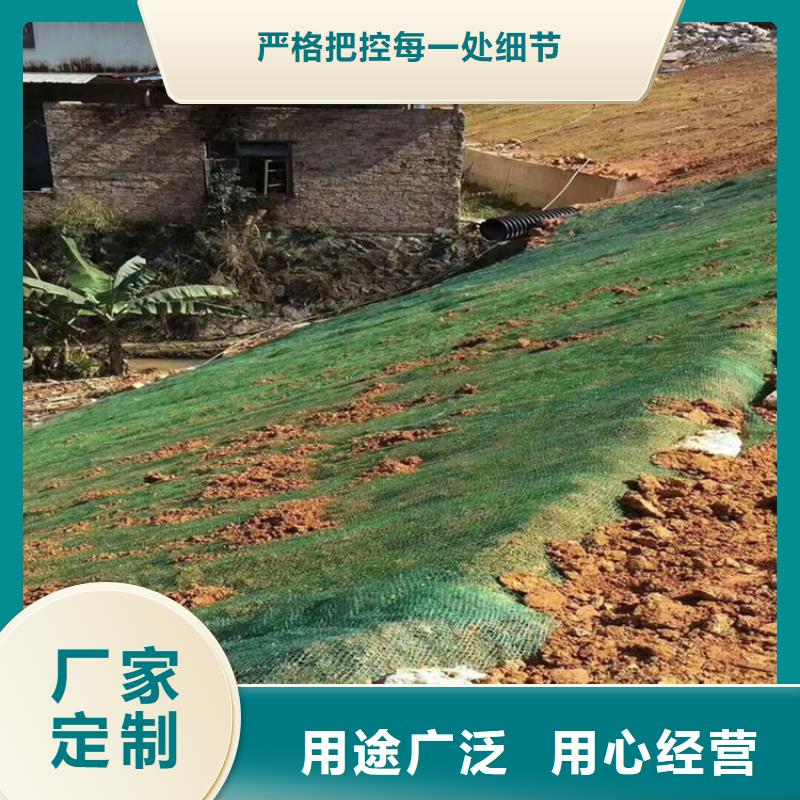 三沙市植物纤维毯