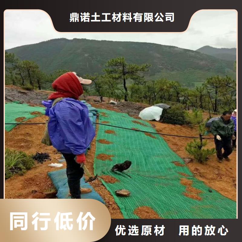 环保草毯施工新闻