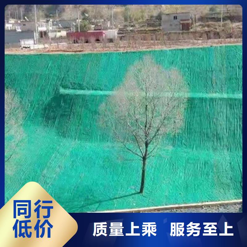 椰丝毯【抗裂贴】优质货源