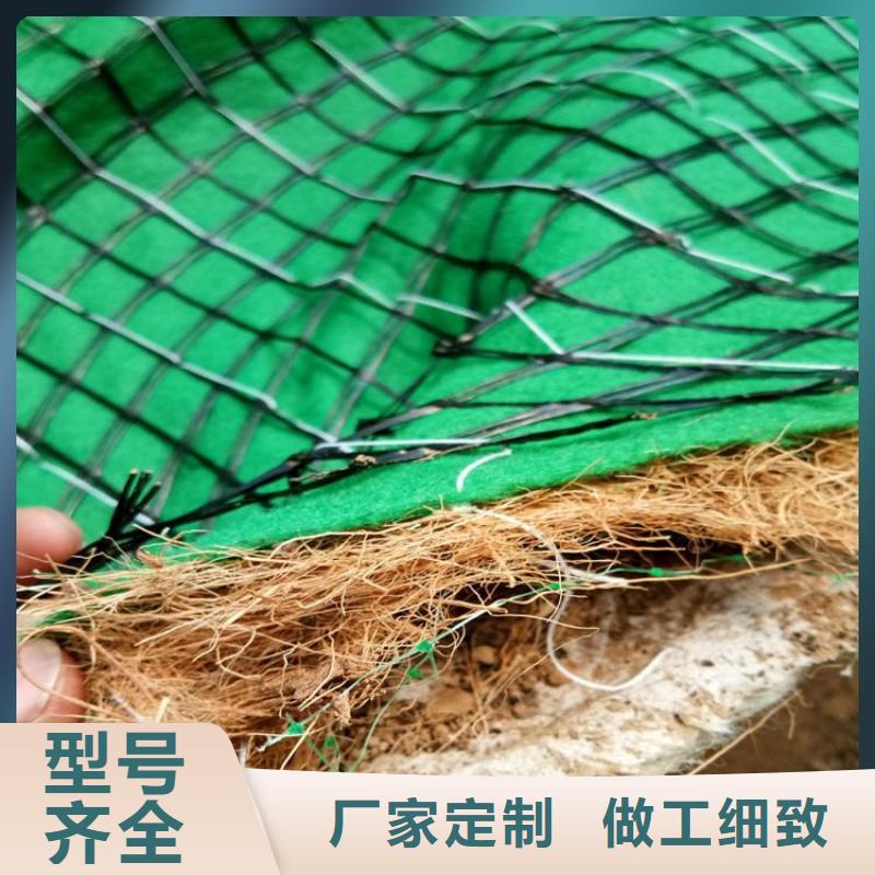 椰丝毯膨润土防水毯实力派厂家