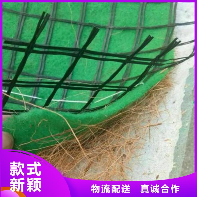环保草毯加筋草籽毯
