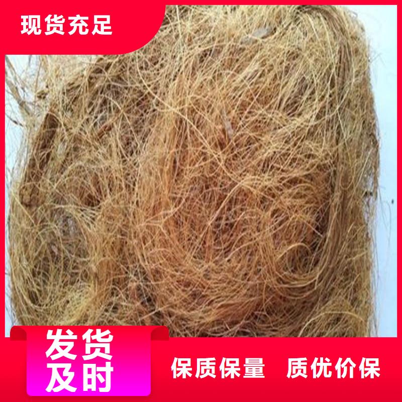 生态护坡草毯