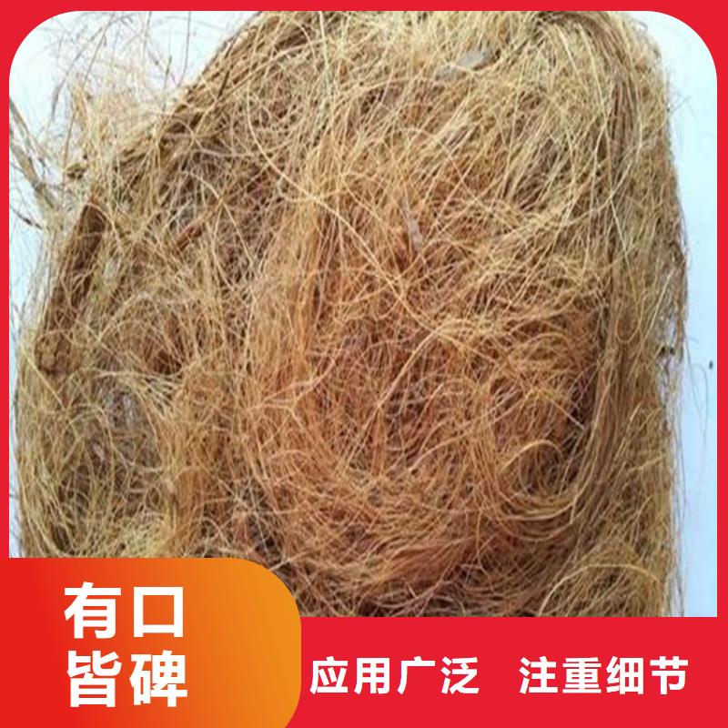 椰丝毯【抗裂贴】优质货源