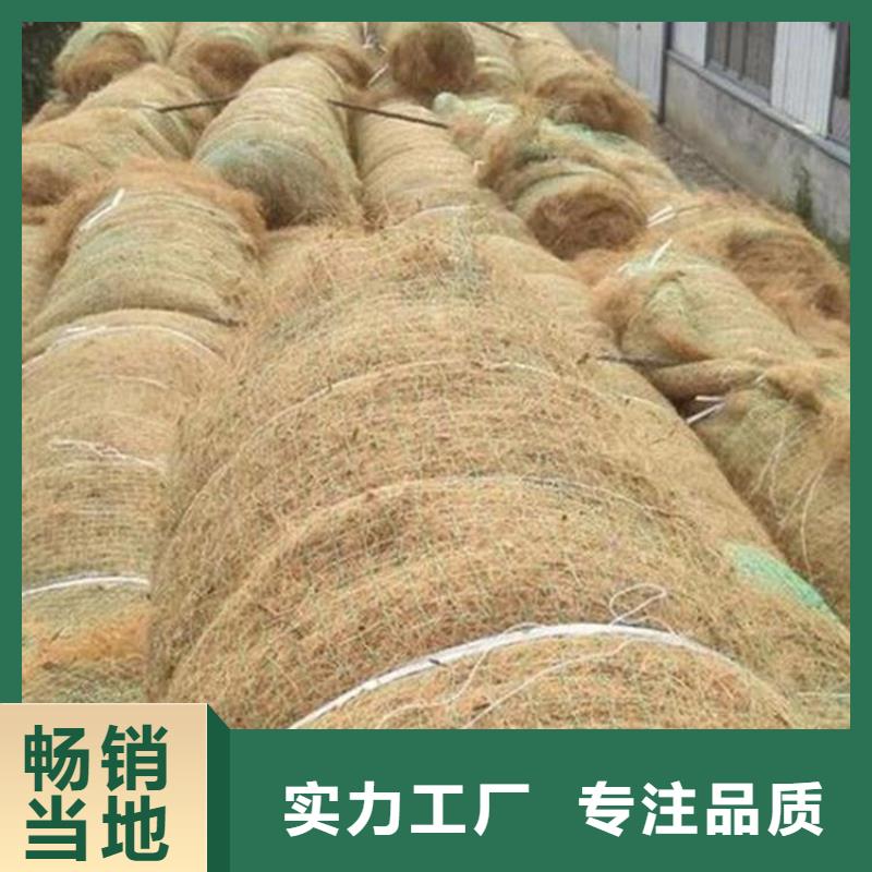 护坡生态草毯环保草毯