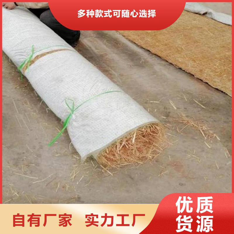 生态植物防护毯