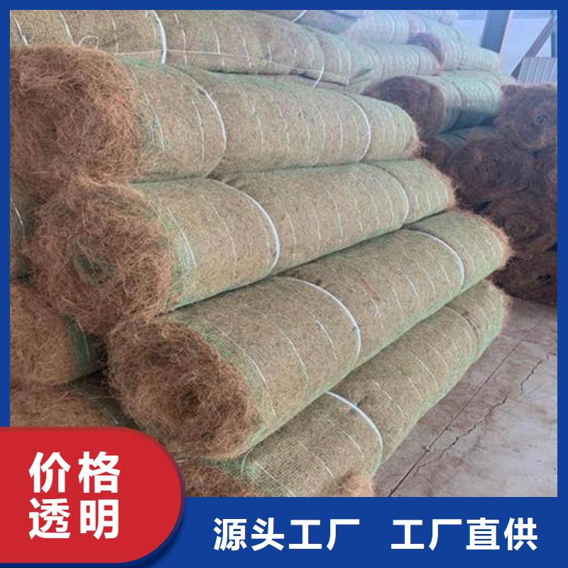 护坡生态草毯护坡绿化植草毯
