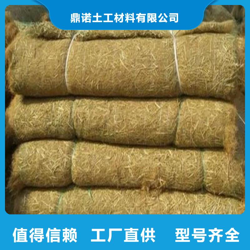 生态植物防护毯