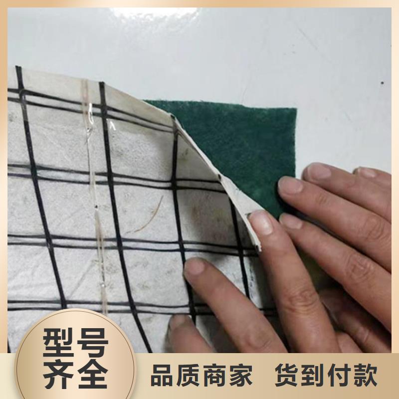 生态植物防护毯抗冲刷生态毯