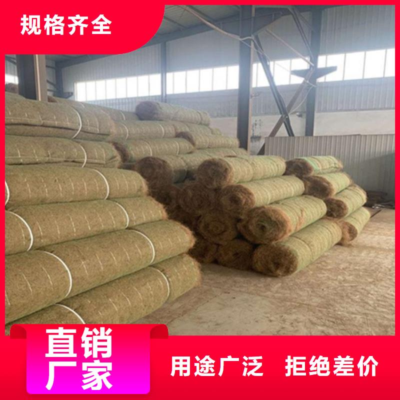 海南白沙县植物纤维毯生态草毯