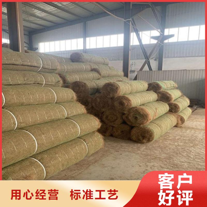 椰丝植生毯价格优惠